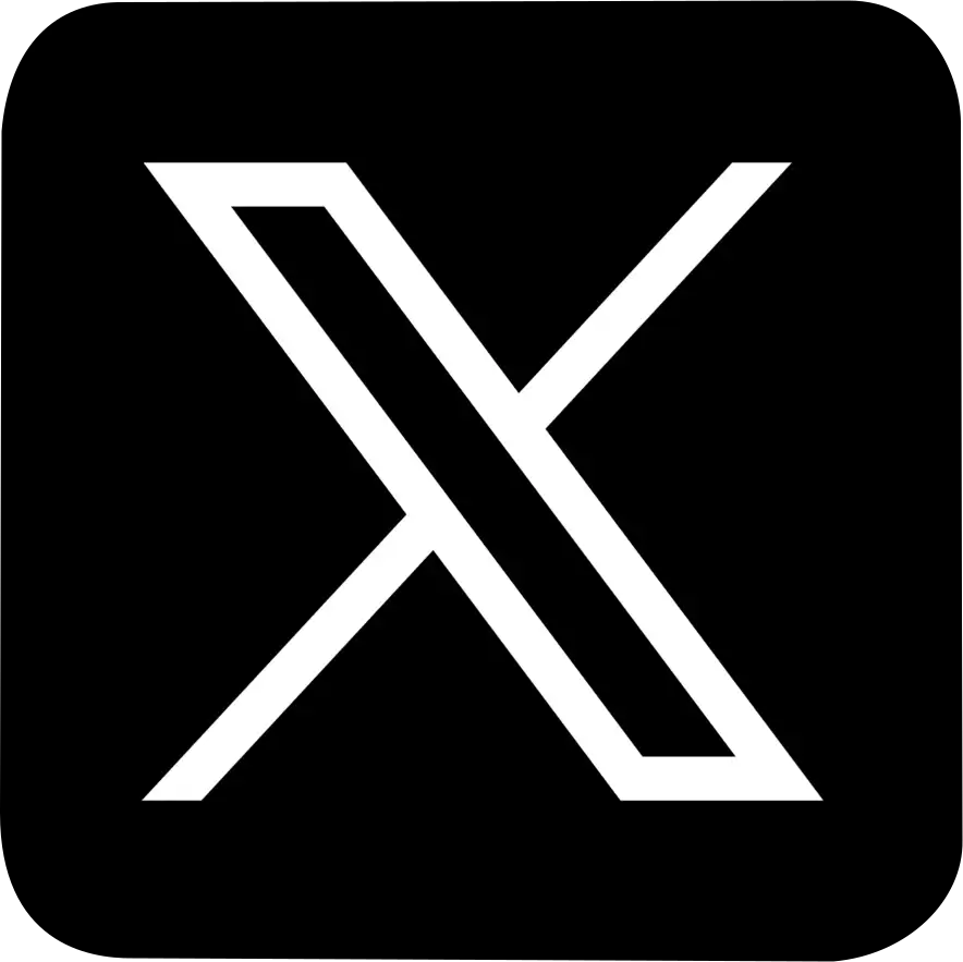X Icon